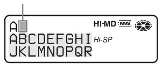SONY MZ-NHF800 - Labeling - 3
