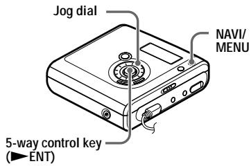 SONY MZ-NHF800 - On the recorder - 1