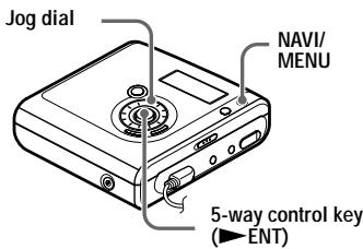 SONY MZ-NHF800 - On the recorder - 1