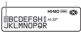 SONY MZ-NHF800 - Labeling - 2