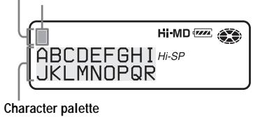 SONY MZ-NHF800 - About the character palette - 2