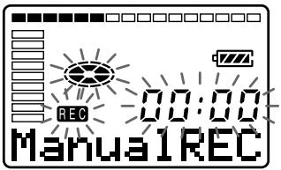 SONY MZ-R30 - Einstellen des Aufnahmepegels bei manuellen Aufnahmen - 2