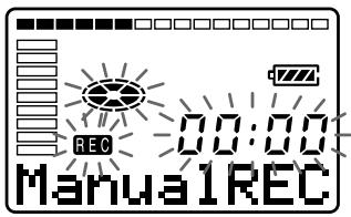 SONY MZ-R30 - Manual recording - 2