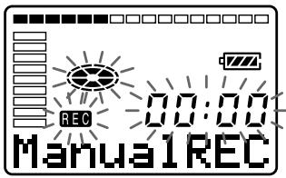 REC 00:00 Manual1REC