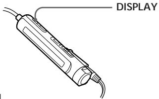 DISPLAY