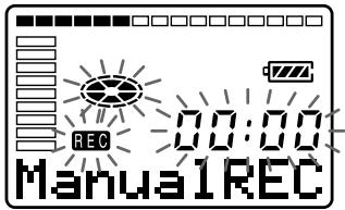 REC 00:00 ManualREC
