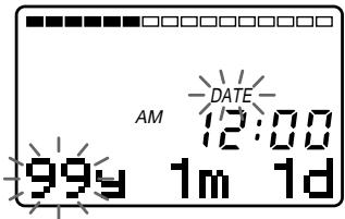 AM DATE 12:00 99y 1m 1d