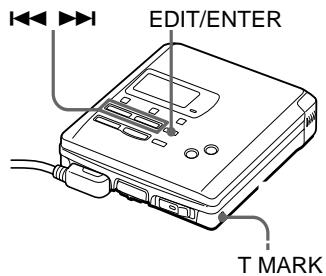 SONY MZ-R55 - REC - 29