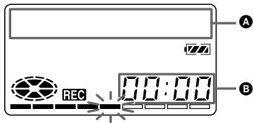 SONY MZ-R55 - DISPLAY - 1