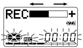 SONY MZ-R55 - 2REC - 9