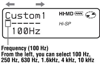 Custom 1 100Hz HI-MD Hi-SP Frequency (100 Hz) From the left, you can select 100 Hz, 250 Hz, 630 Hz, 1.6kHz, 4 kHz, 10 kHz
