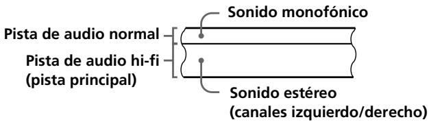 SONY SLV-L59 - como se graba el sonido en una cinta de video - 1