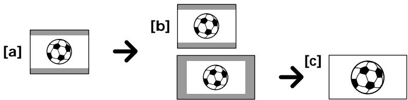 SONY CCD-TRV33 - Using the CINEMA mode function - 1