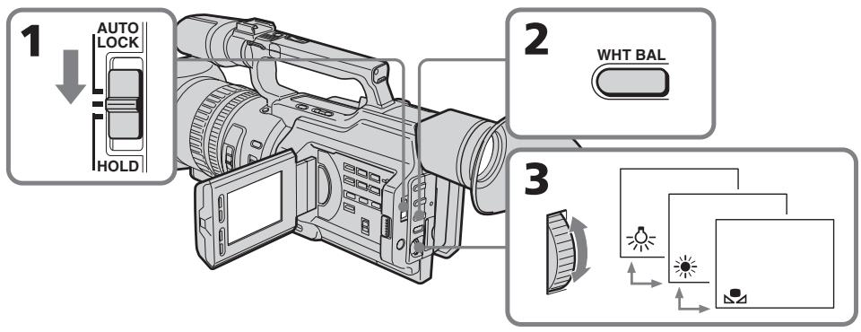 SONY DCR-VX2100E - PeruInpoBka 6aJahCa 6eJoro CBeTa - 1