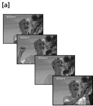 SONY DCR-VX2100E - Multi screen mode [b] - 1