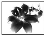 SONY DCR-VX2100E - Using special effects - Picture effect - 1
