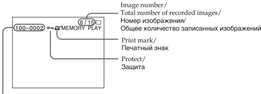 SONY DCR-VX2100E - 3KpaHbIe INdNkAtOpbl BO BpemB OBCPOn3BeDeHn HEnoDbXhblx N3O6paXeHn - 1