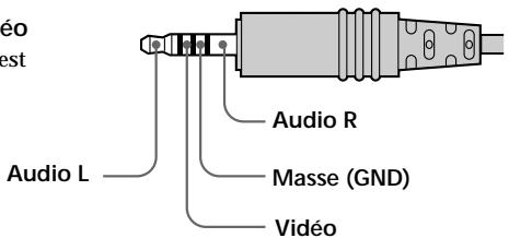 SONY PLM-A35 - Raccordement d'un apparéil video - 3