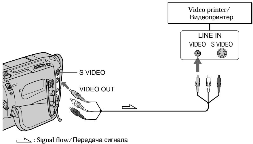Video printer/ Видеопринтер LINE IN VIDEO S VIDEO S VIDEO VIDEO OUT : Signal flow/Передача сигнала