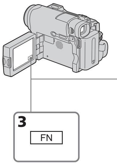 3 FN