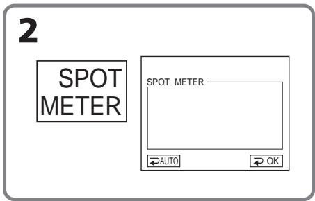 2 SPOT METER SPOT METER AUTO OK
