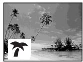 Black-and-white beach scene with palm trees and a small island, no visible text or symbols