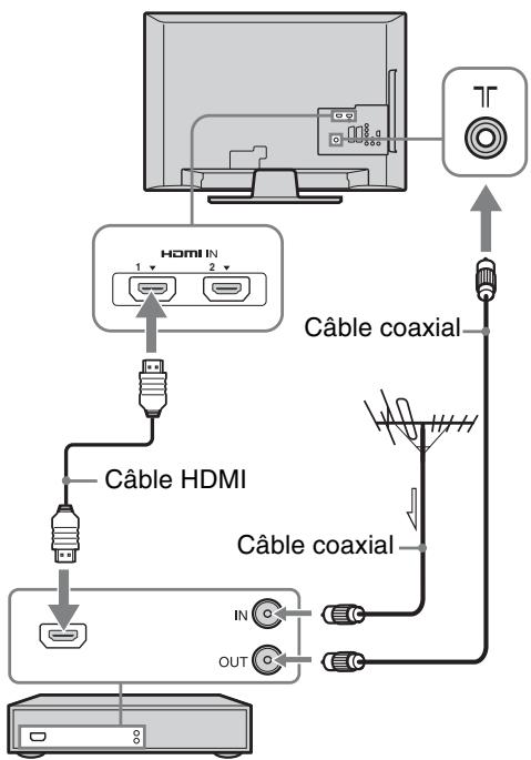 SONY KDL-19L4000 - 3: Raccordement d'une antenne ou d'un magnétoscope/ Graveur DVD - 1