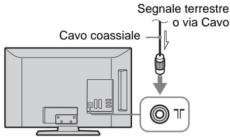 Cavo coassiale Segnale terrestre o via Cavo TT