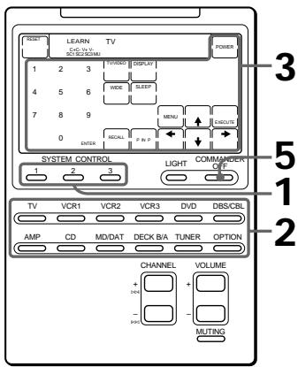 SONY RM-AV2000 - Example: - 1