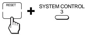 RESET + SYSTEM CONTROL 3