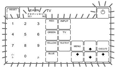 RESET EARN P+ P- V+ V- SC1 MC TV 1 2 3 RED INPUT 4 5 6 GREEN TV 7 8 9 YELLOW TELETEXT MENU 0 1 BLUE EXECUTS