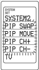 SYSTEM SET SYSTEM2, PIP SWAP PIP MOVE PIP CH+ PIP CH- TV