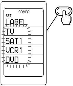 COMPO SET LABEL TV SAT1 UCR1 DVD
