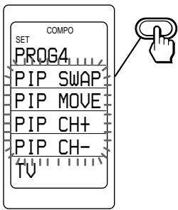 COMPO SET PROG4 PIP SWAP PIP MOVE PIP CH+ PIP CH- TV