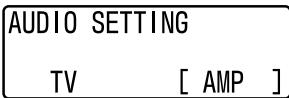 AUDIO SETTING TV [ AMP ]