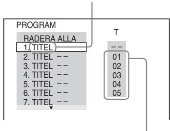 SONY DVP-NS433 - Skapa ett eget program (Programmerad uppspelning) - 3