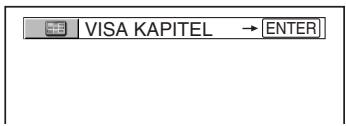 VISA KAPITEL → ENTER