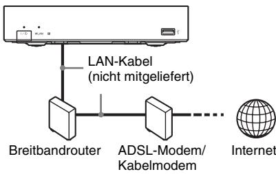 SONY SMP-N100 - Kabelinrichtung - 1