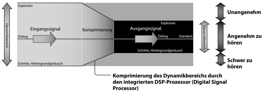 SONY DR-GA500 - Hinweis - 1