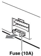 Fuse (10A)