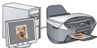 EPSON STYLUS CX6600 - Impression - 1
