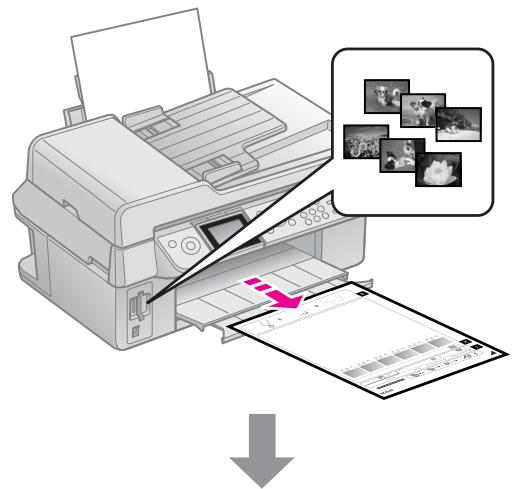 EPSON STYLUS DX9400F - Sélection et impression des photos à l'aide d'une feuille d'index - 1