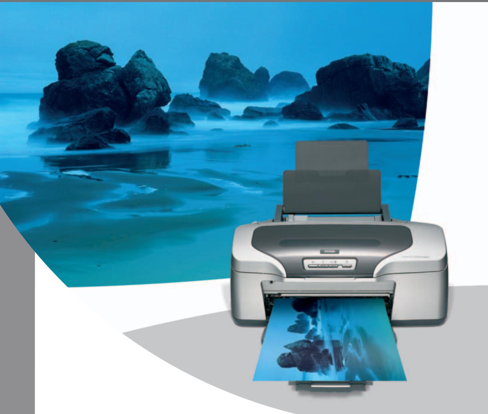 EPSON STYLUS PHOTO R800 - 13