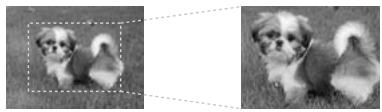 EPSON STYLUS PHOTO RX585 - Rognage et agrandissement d'une photo - 1