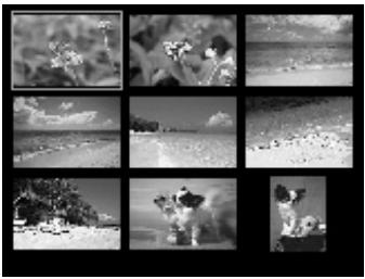 EPSON STYLUS PHOTO RX585 - Changement de l'affichage des photos sur l'écran LCD - 2