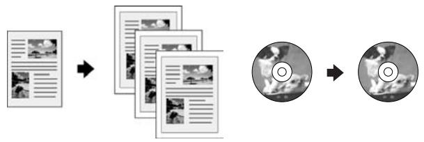EPSON STYLUS PHOTO RX585 - Copie des documents - 1