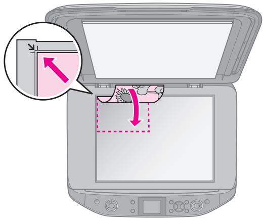 EPSON STYLUS PHOTO RX585 - Mise en place des documents originaux sur la vitre d'exposition - 1