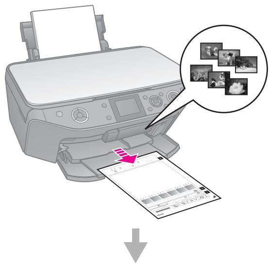 EPSON STYLUS PHOTO RX585 - Sélection et impression des photos à l'aide d'une feuille d'index - 1