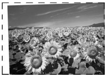 EPSON STYLUS PHOTO RX585 - Problèmes au niveau de la qualité de numérisation - 1