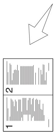 EPSON ACULASER CX17NF - N-up (n en 1) - 1